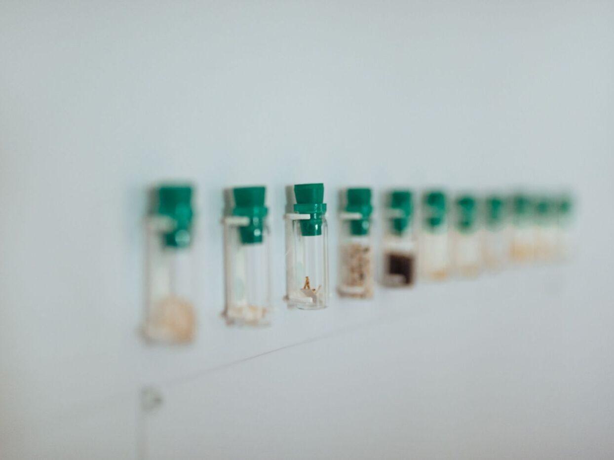 bela krajina muzejska hisa semic 05