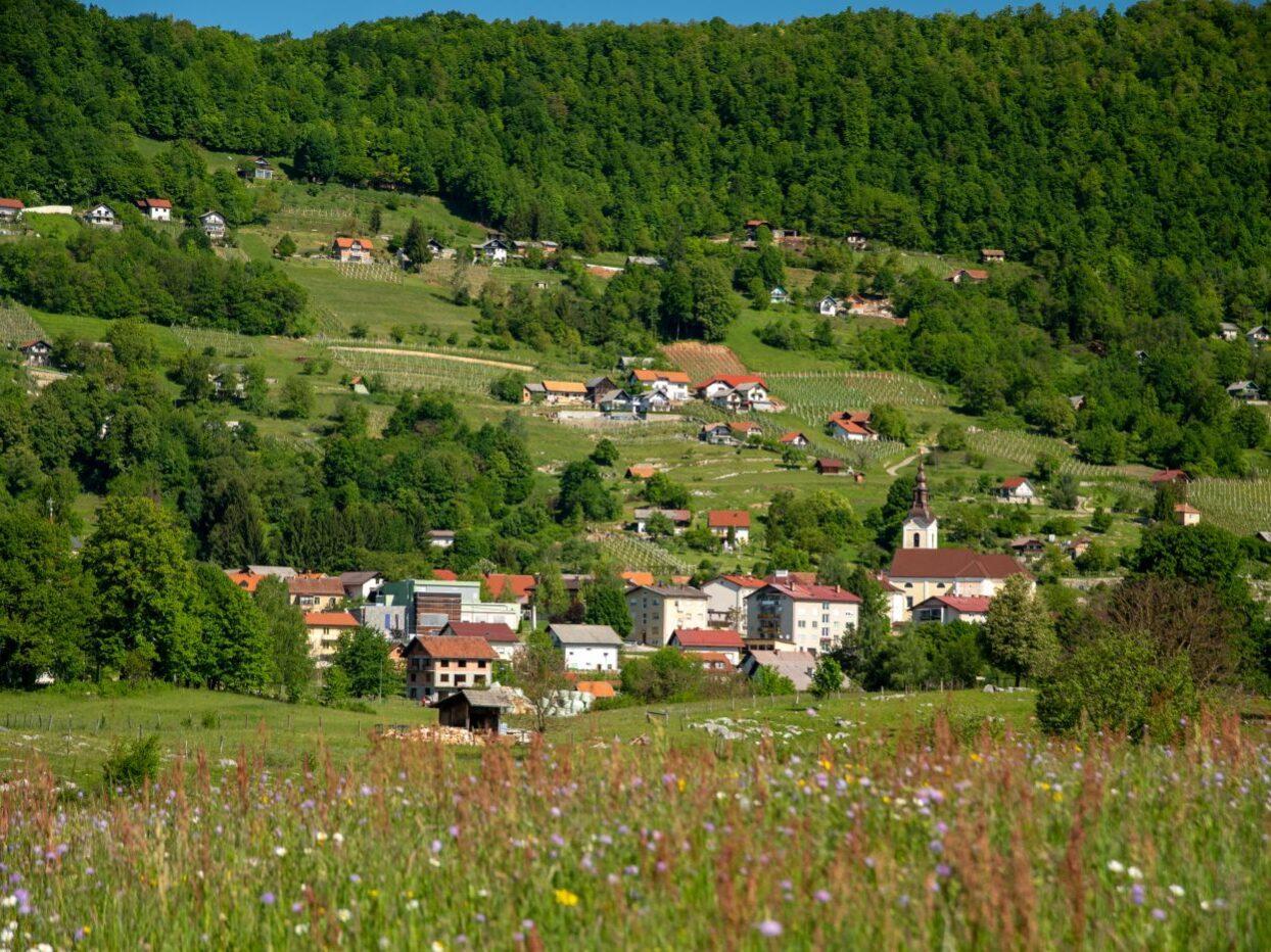 bela krajina semiska gora 02