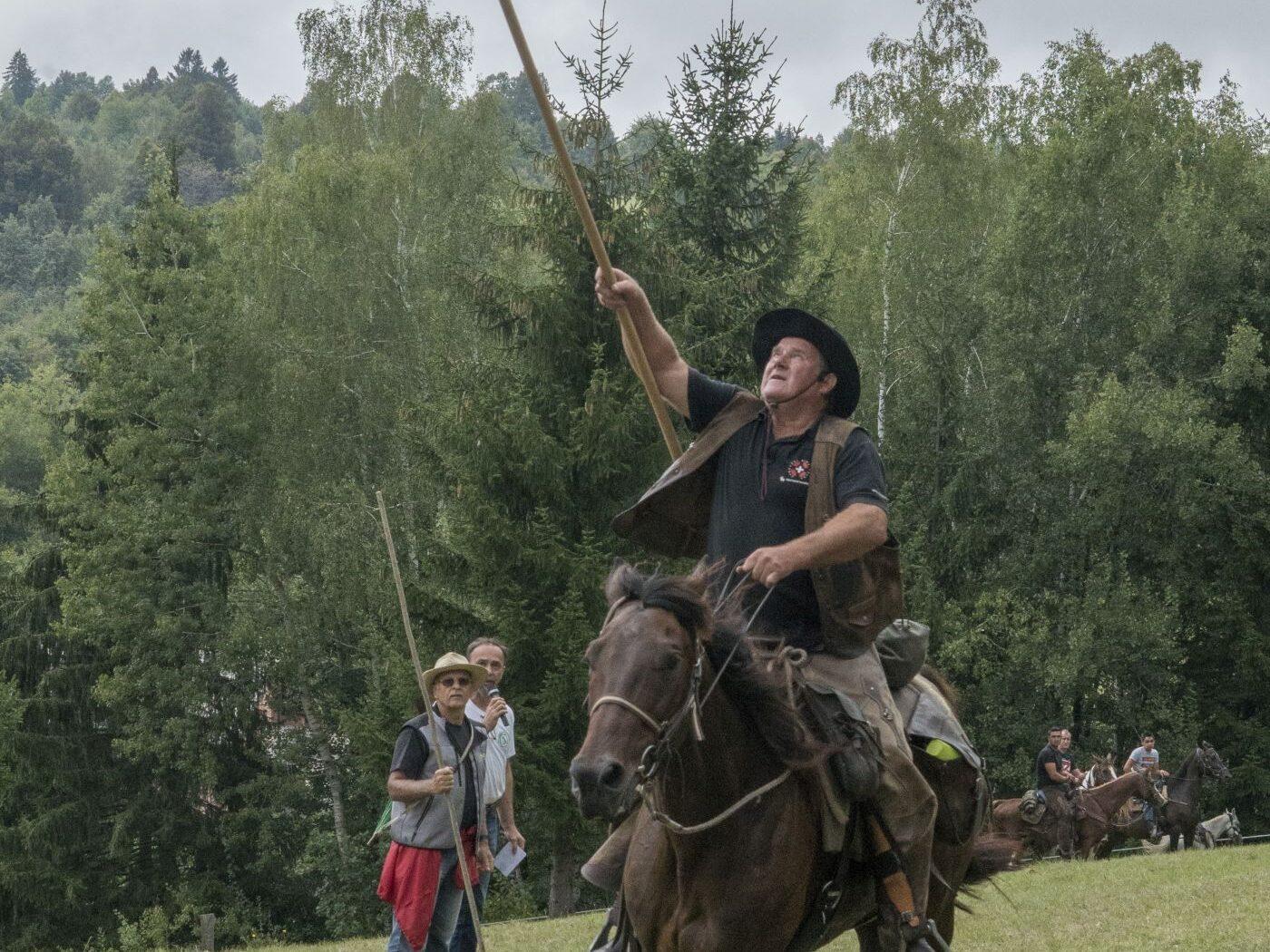 bela krajina belokranjska razstava konj 05