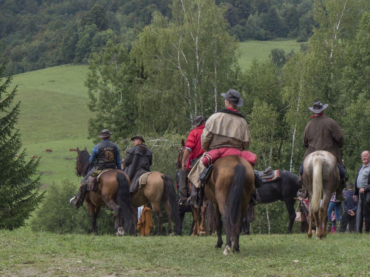 bela krajina belokranjska razstava konj 07