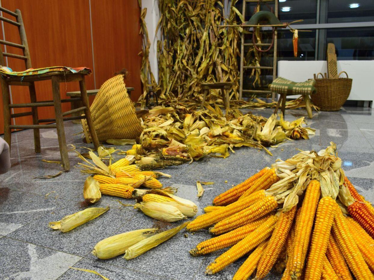 bela krajina praznovanje jeseni 02