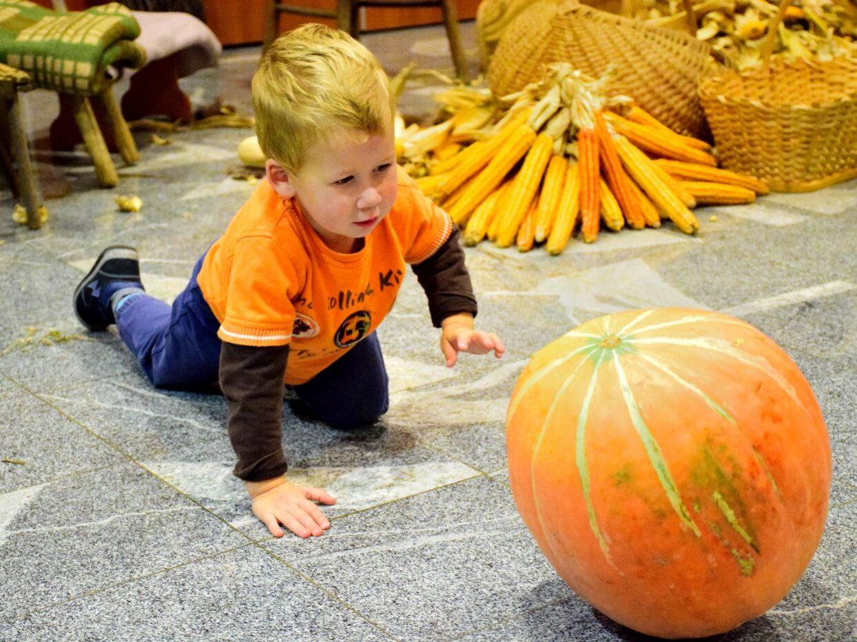 bela krajina praznovanje jeseni 05