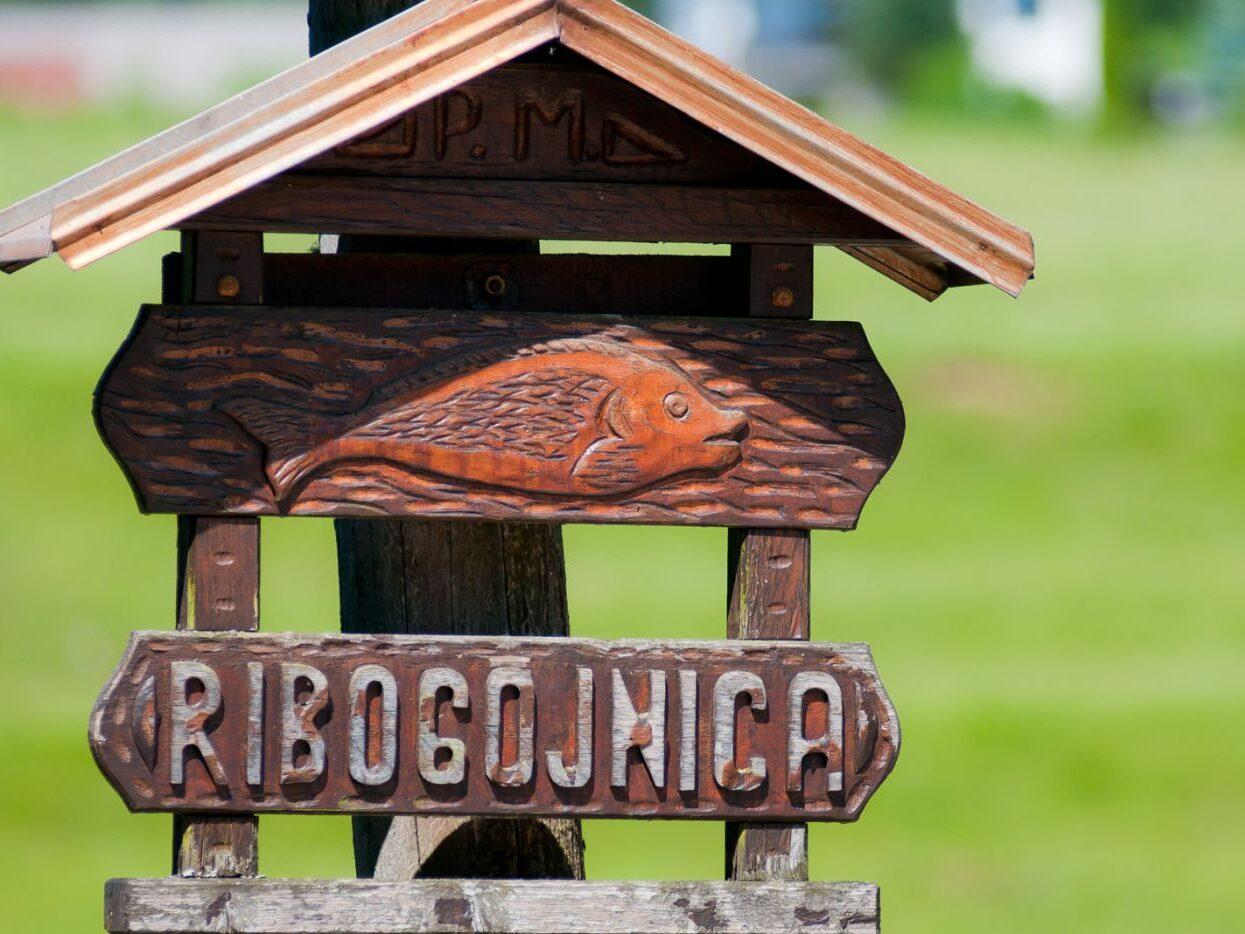 bela krajina ribogojnica mlinar 01