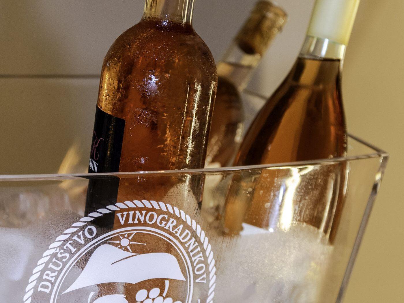 bela krajina vinoteka semic 01