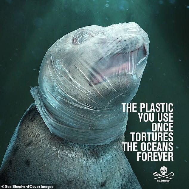 11223748 0 image a 1 1553080969608