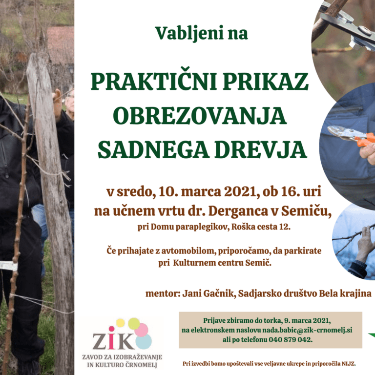 Obrezovanje sadnega drevja 1 Obrezovanje sadnega drevja 1