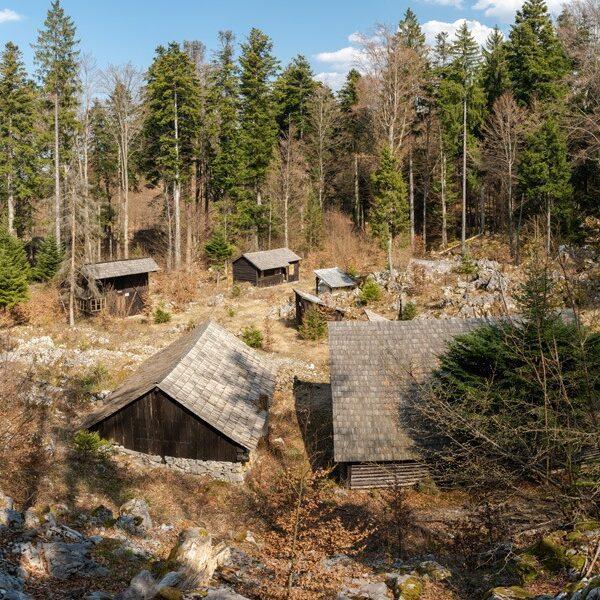 93256817 10222013114737298 5679179180407783424 n 10222013114697297