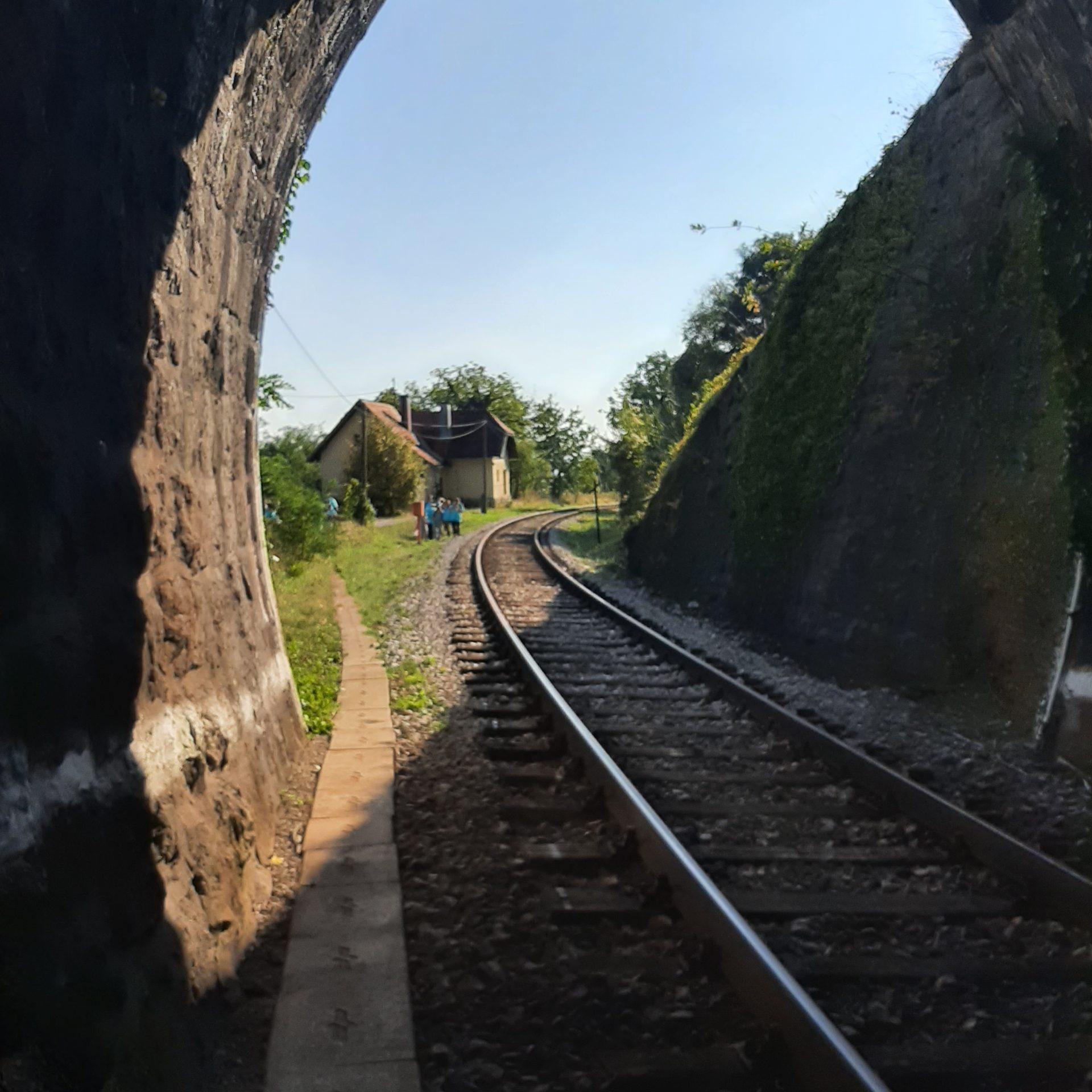 20210925 151313 scaled