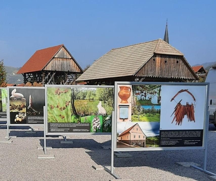 246368868 1531976170519739 4482163613712130213 n