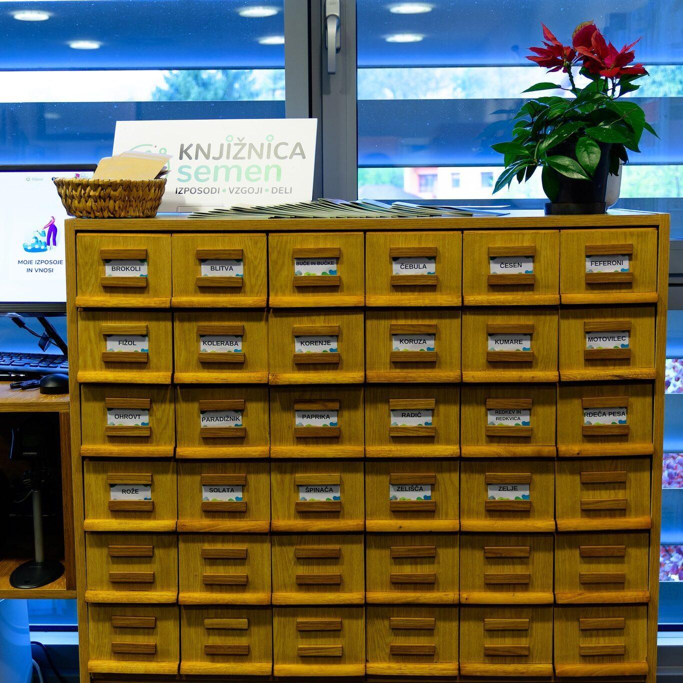 278363952 527096635593192 2845873490826230225 n