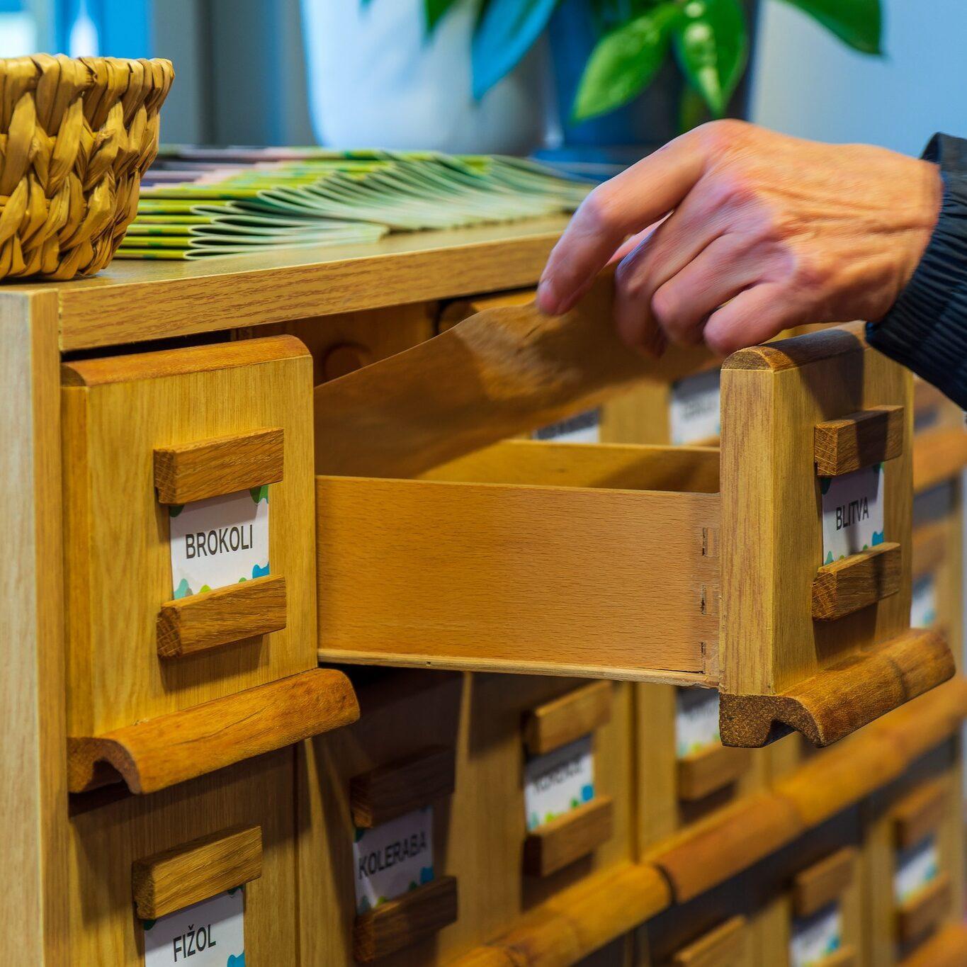 278531332 527096805593175 2736168860339872371 n