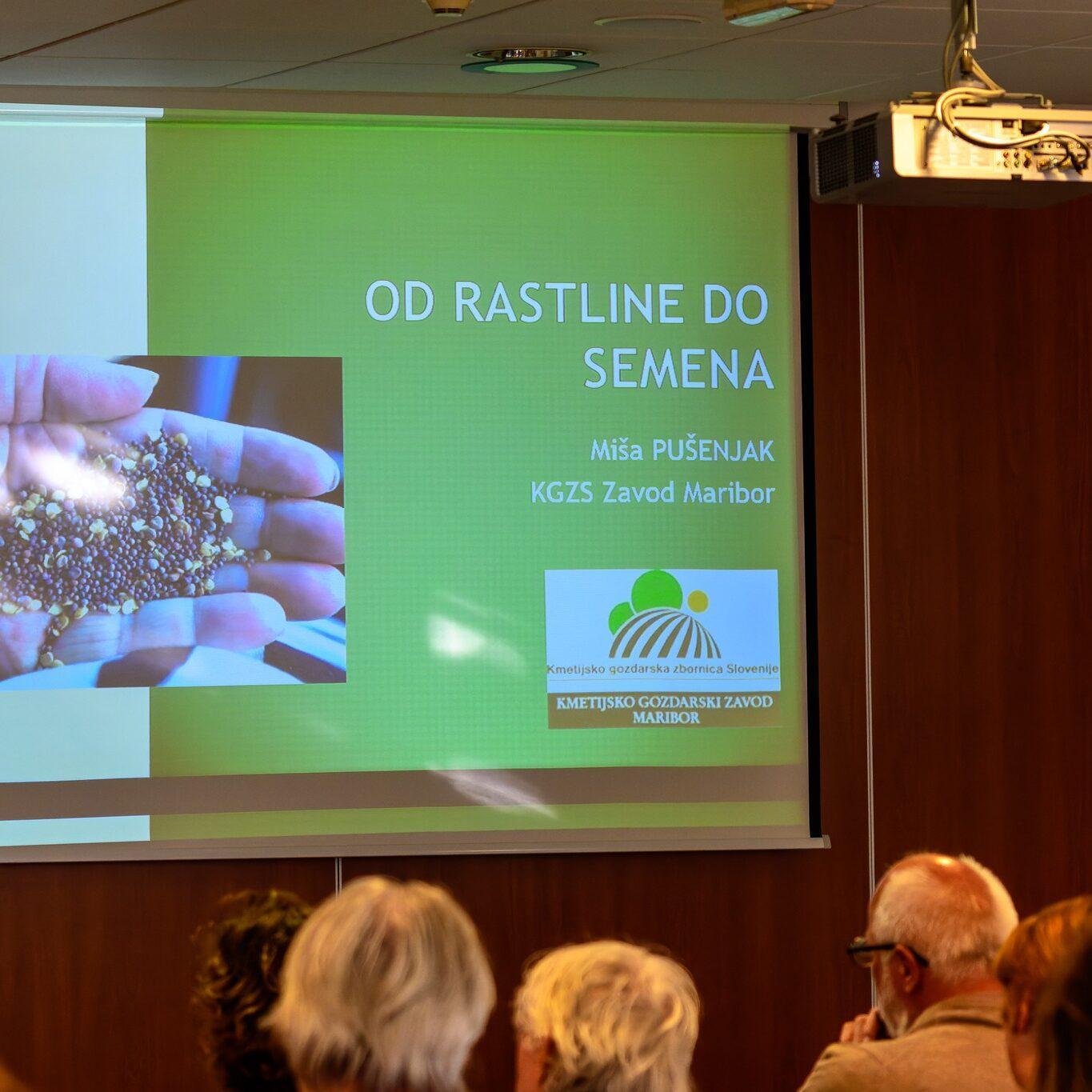 278572710 529241945378661 1186720966495694210 n