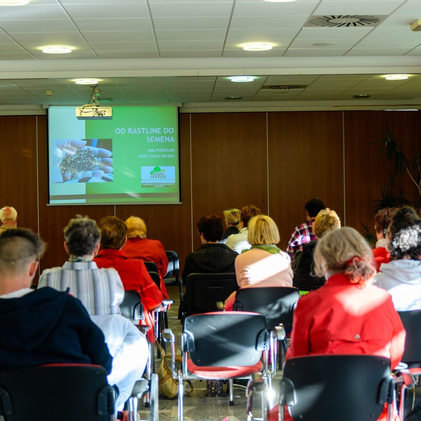 278577660 529241858712003 2780994136542265142 n