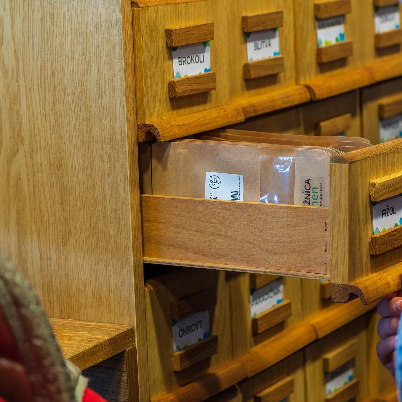 278578924 527096795593176 67580583027750031 n