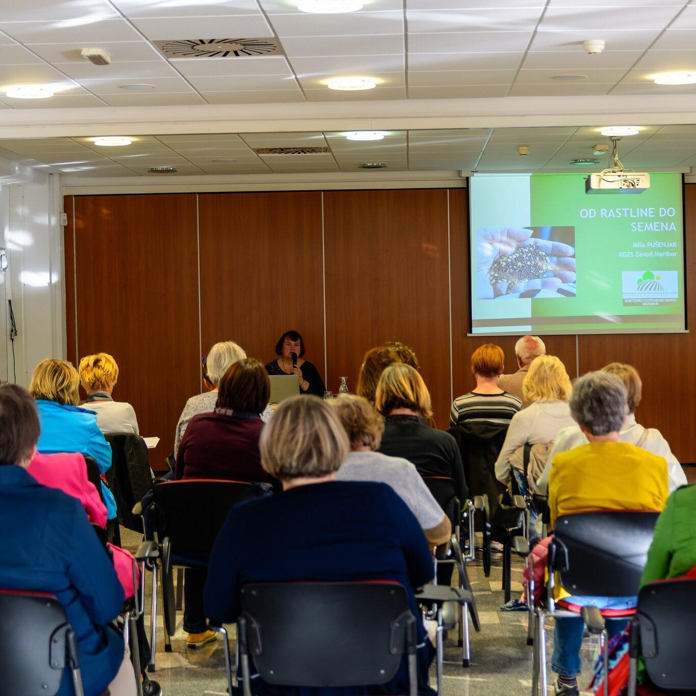 278871524 529241765378679 7890107149682678948 n