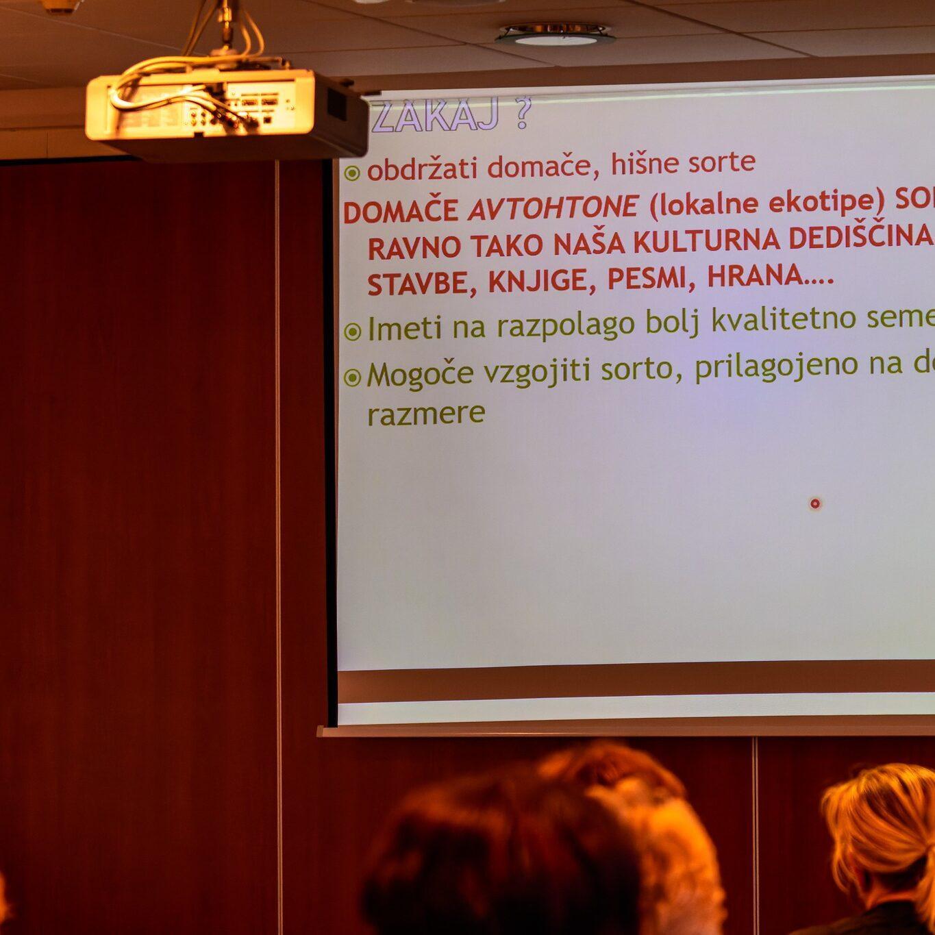 278871524 529241925378663 2887007744946755580 n