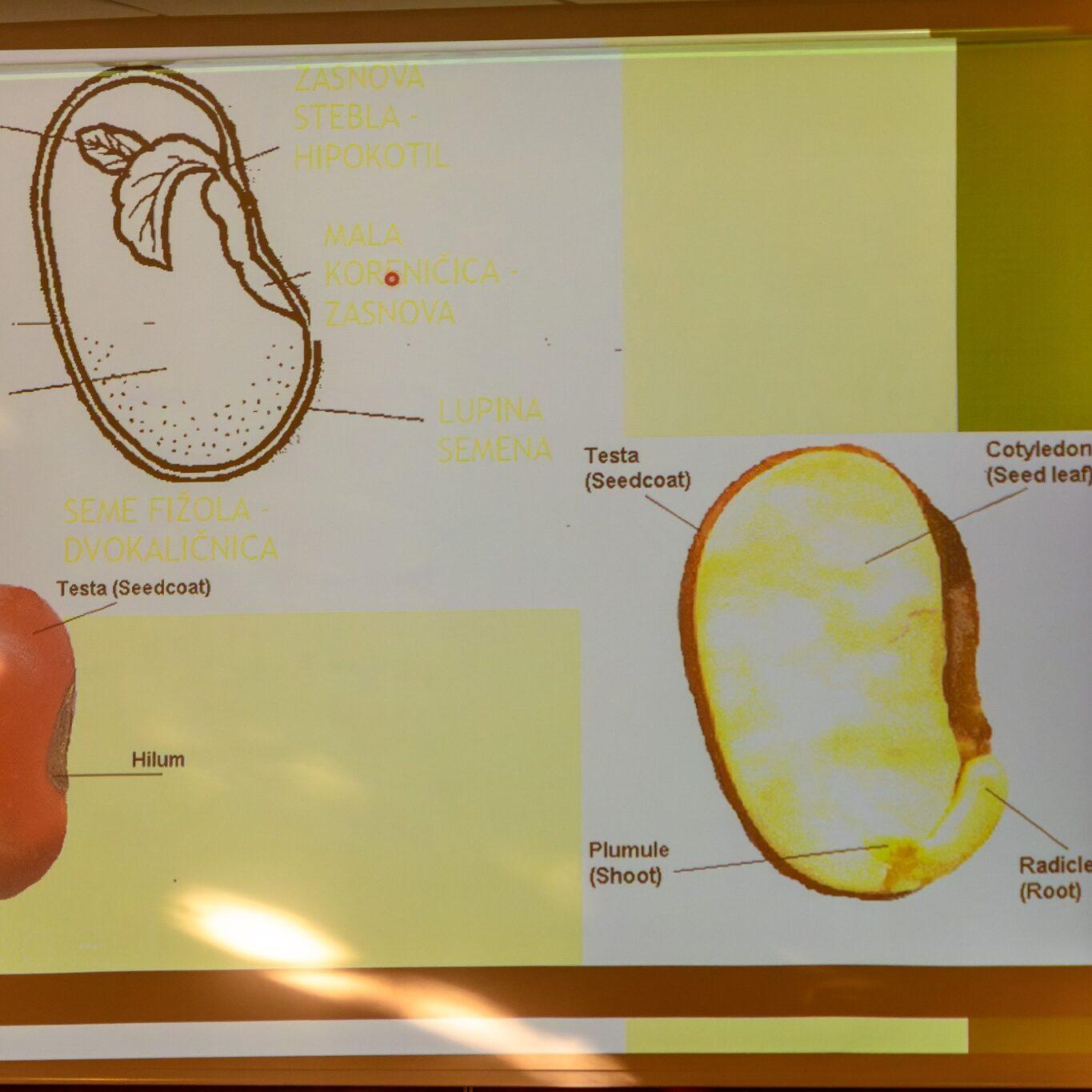 279027645 529241985378657 8572236548234220898 n