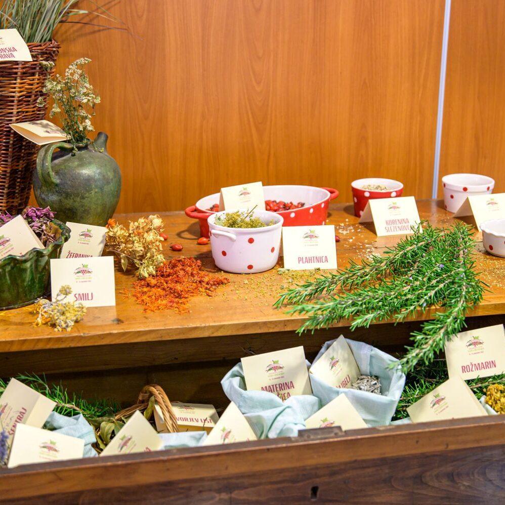 2022 11 11 Praznovanje jeseni in Martinovanje 2022 petek Foto Uros Novina 010