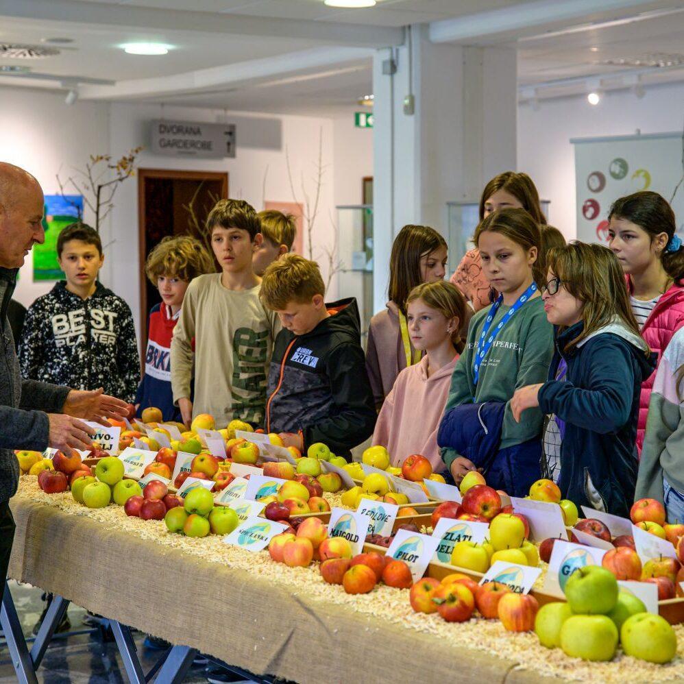 2022 11 11 Praznovanje jeseni in Martinovanje 2022 petek Foto Uros Novina 013