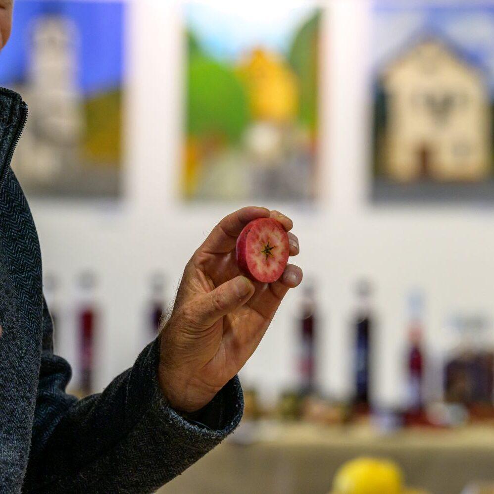 2022 11 11 Praznovanje jeseni in Martinovanje 2022 petek Foto Uros Novina 020