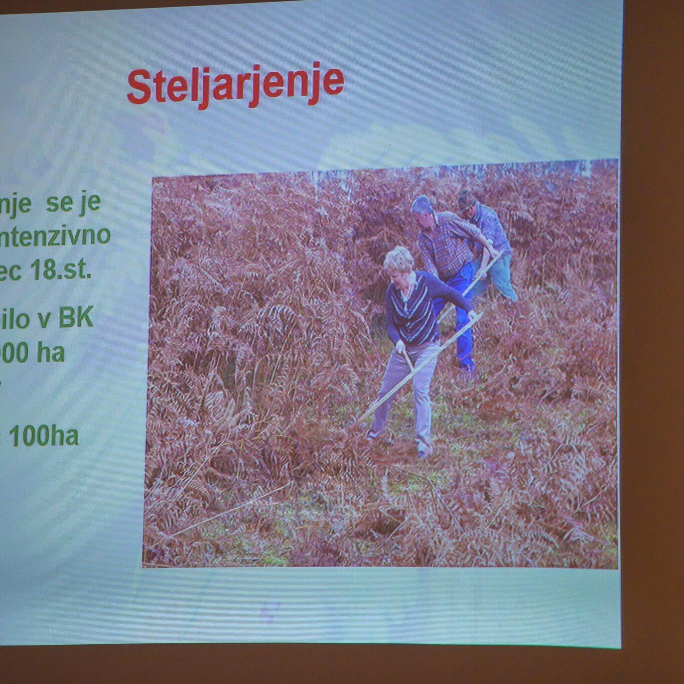 312021141 463178382578454 7651880866576668561 n