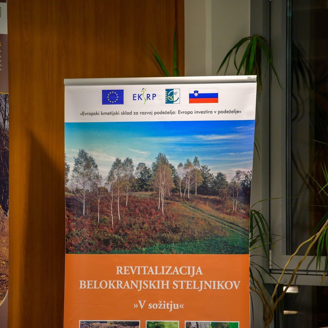 313048312 463178665911759 6128440157315642441 n