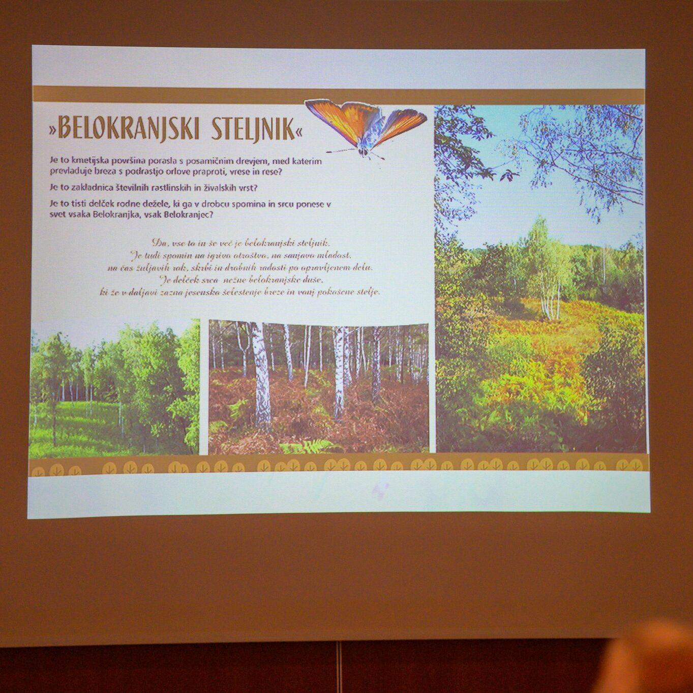 313048819 463178412578451 7890925811985152230 n