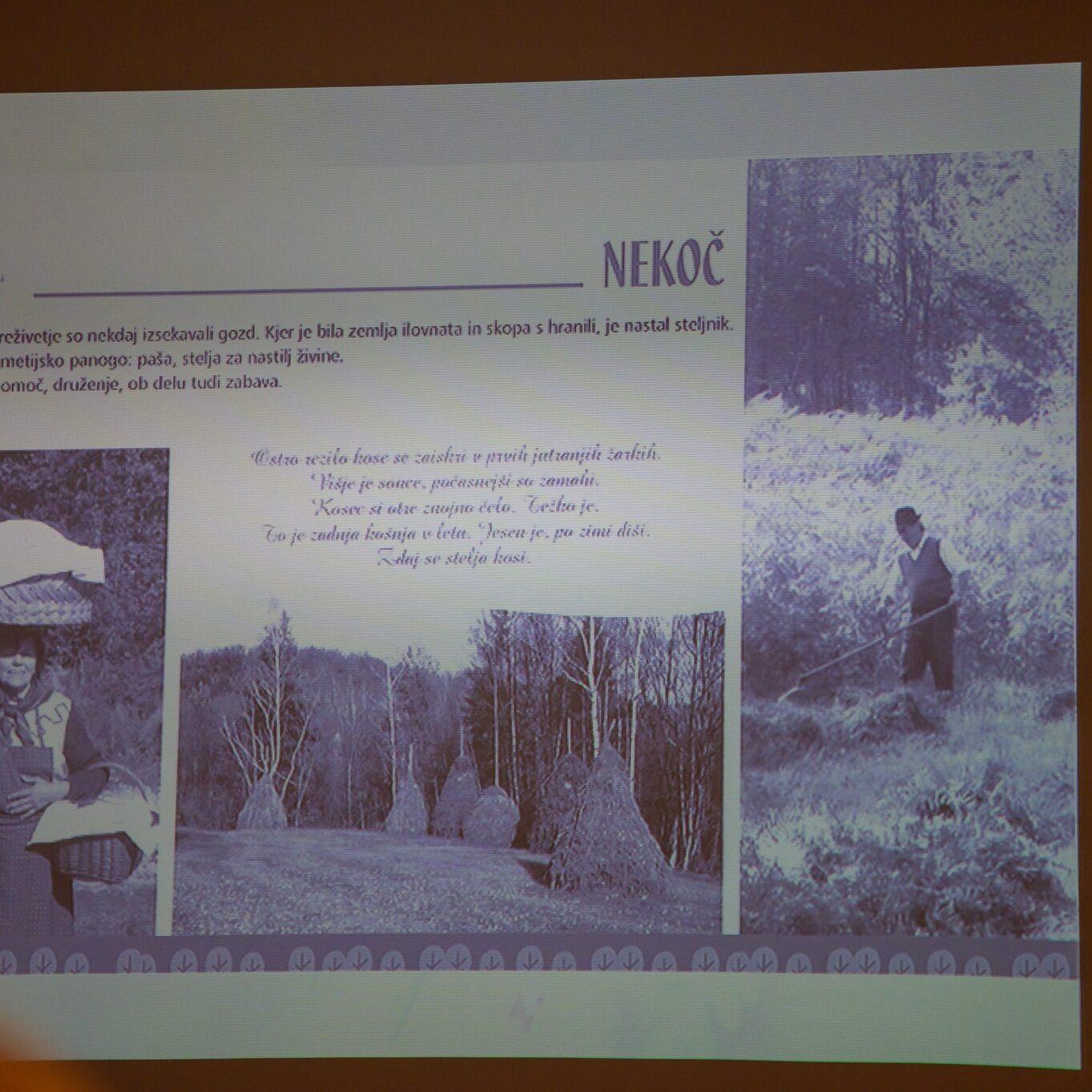 313070961 463178312578461 6360221587184971800 n