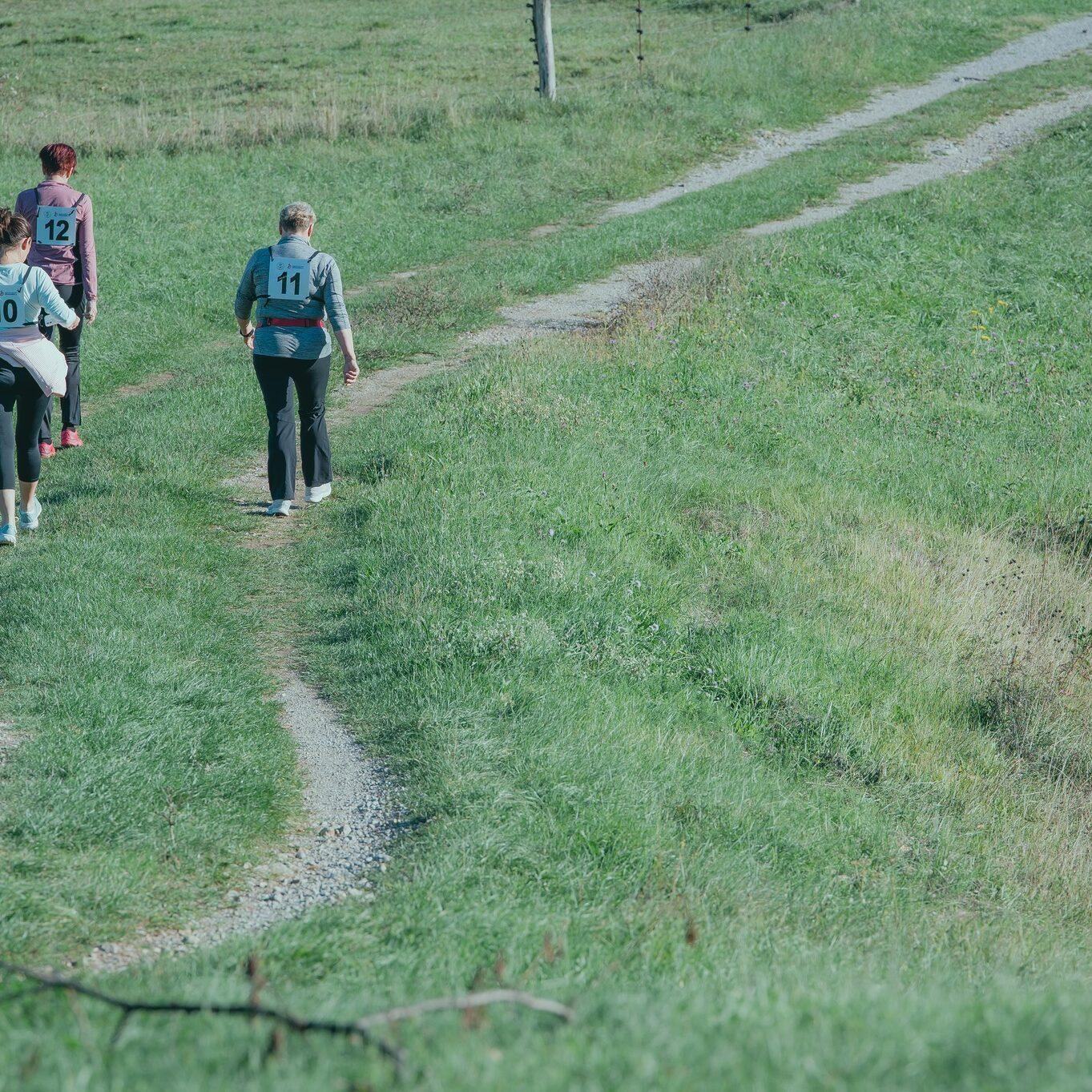 308044927 436134151949544 6646239652828951462 n