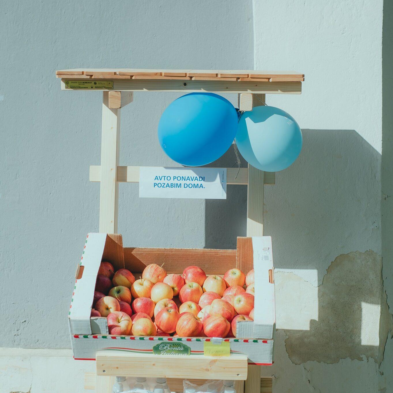 308351533 436133641949595 7026901471442626079 n