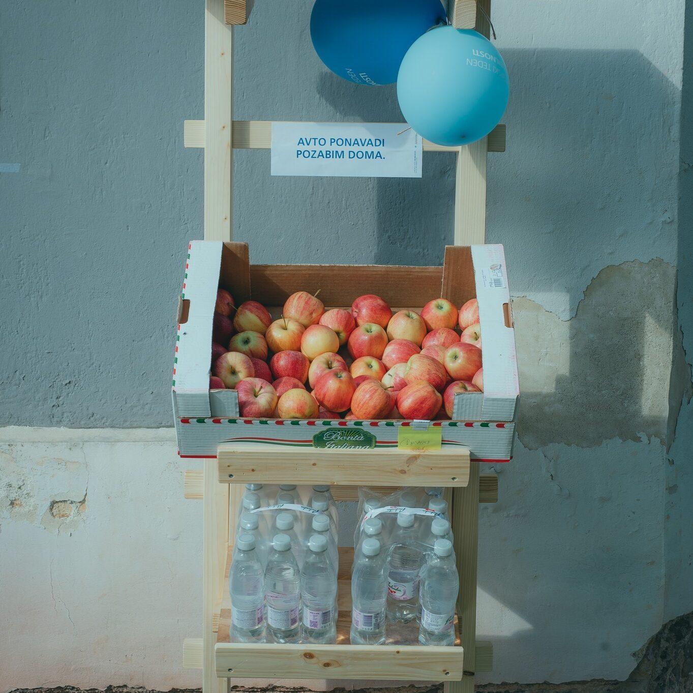 308380671 436133731949586 2946060780310655091 n