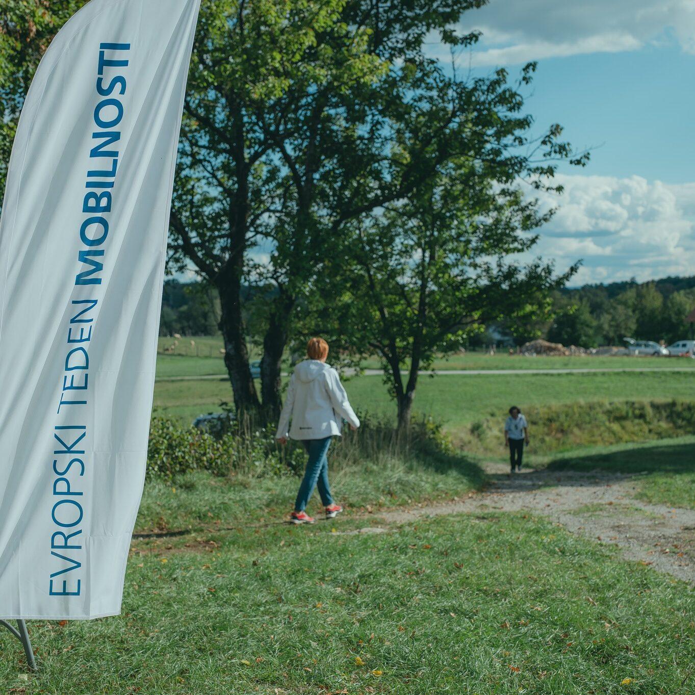 308414647 436133778616248 2128256294457650621 n