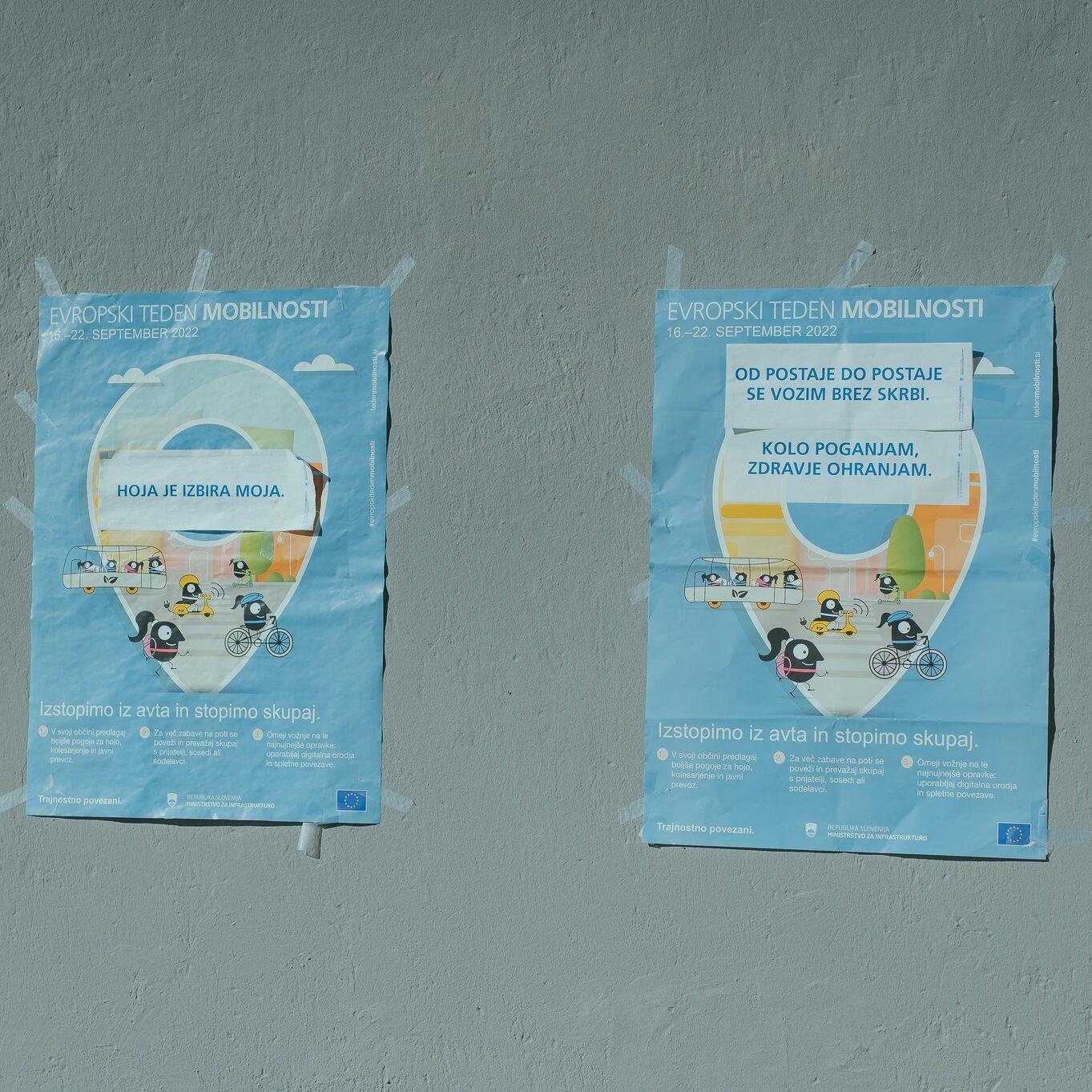 308466917 436133765282916 6480278014191984442 n