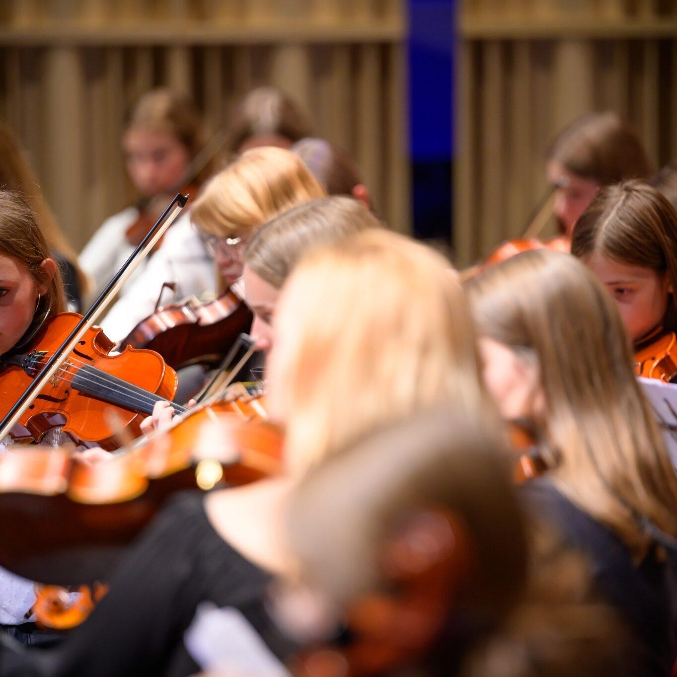 310151212 444025617827064 6305405709962772977 n