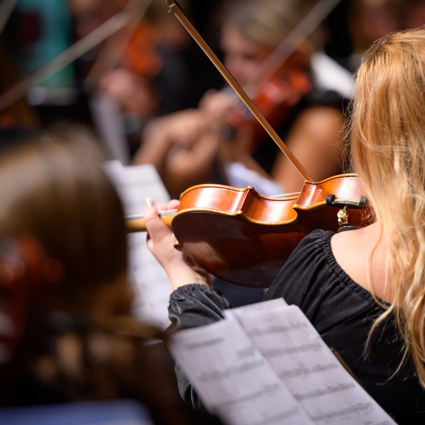 310207447 444025797827046 5038517254838744535 n