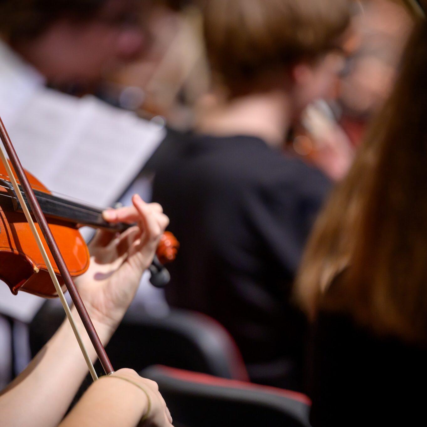 310217939 444024701160489 5013231417118294811 n