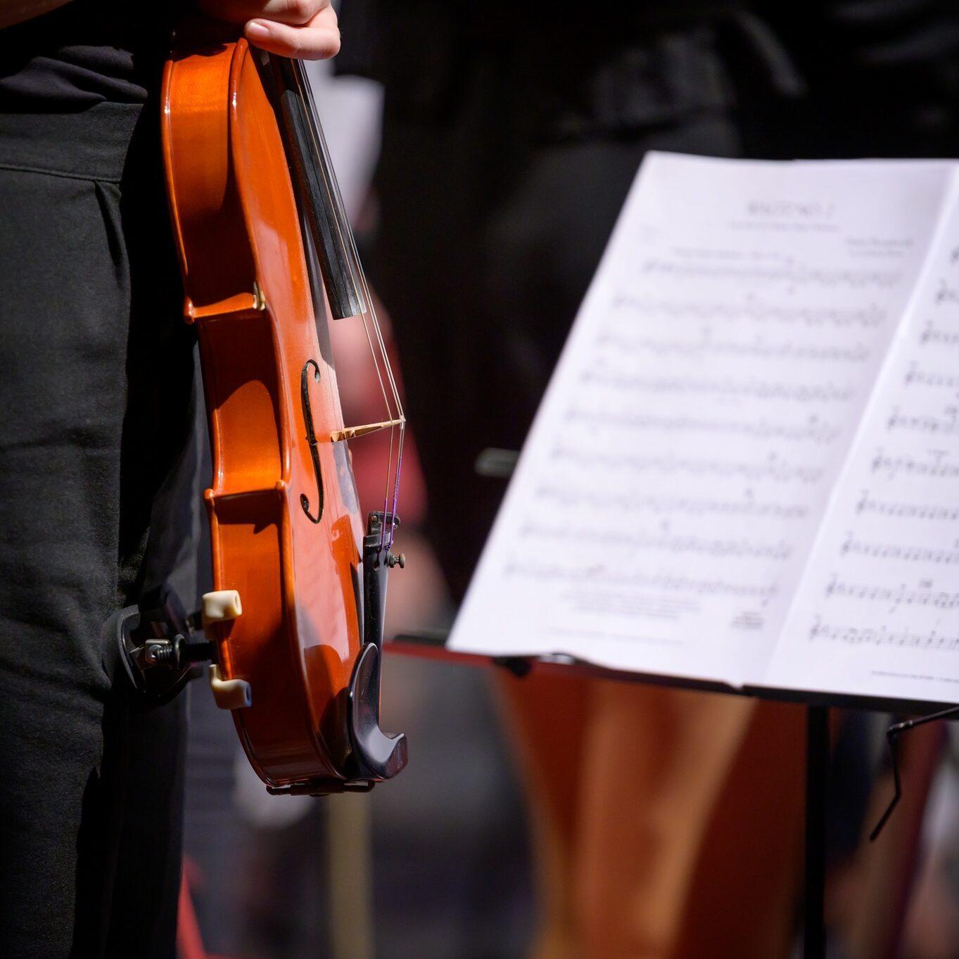 310291162 444024657827160 5787821607334074067 n