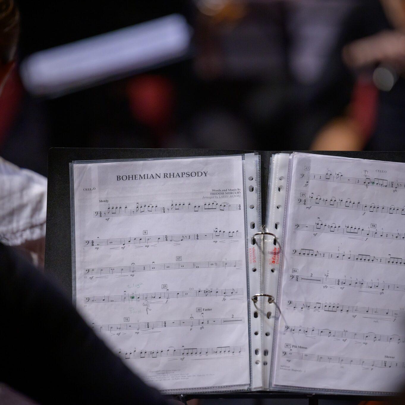 310319972 444025751160384 8188833450344702899 n