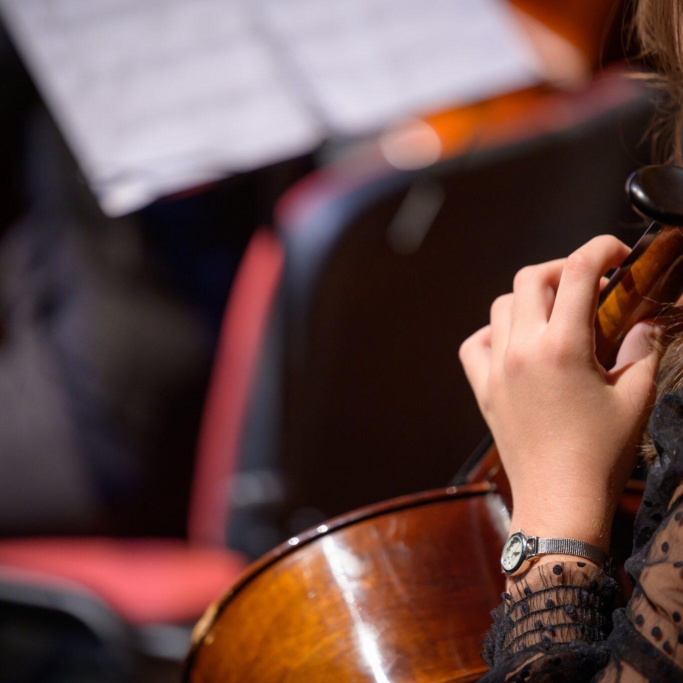 310361790 444025634493729 8434480515213281236 n