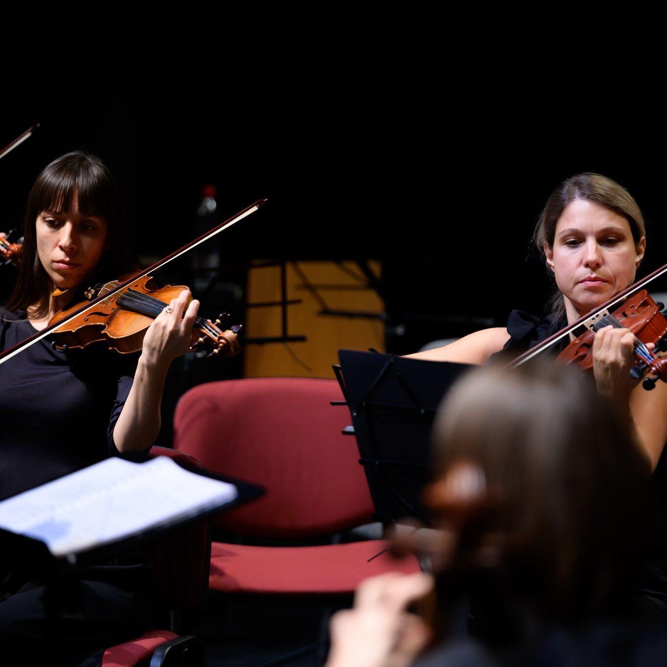 310435286 444025074493785 8873884542340258014 n