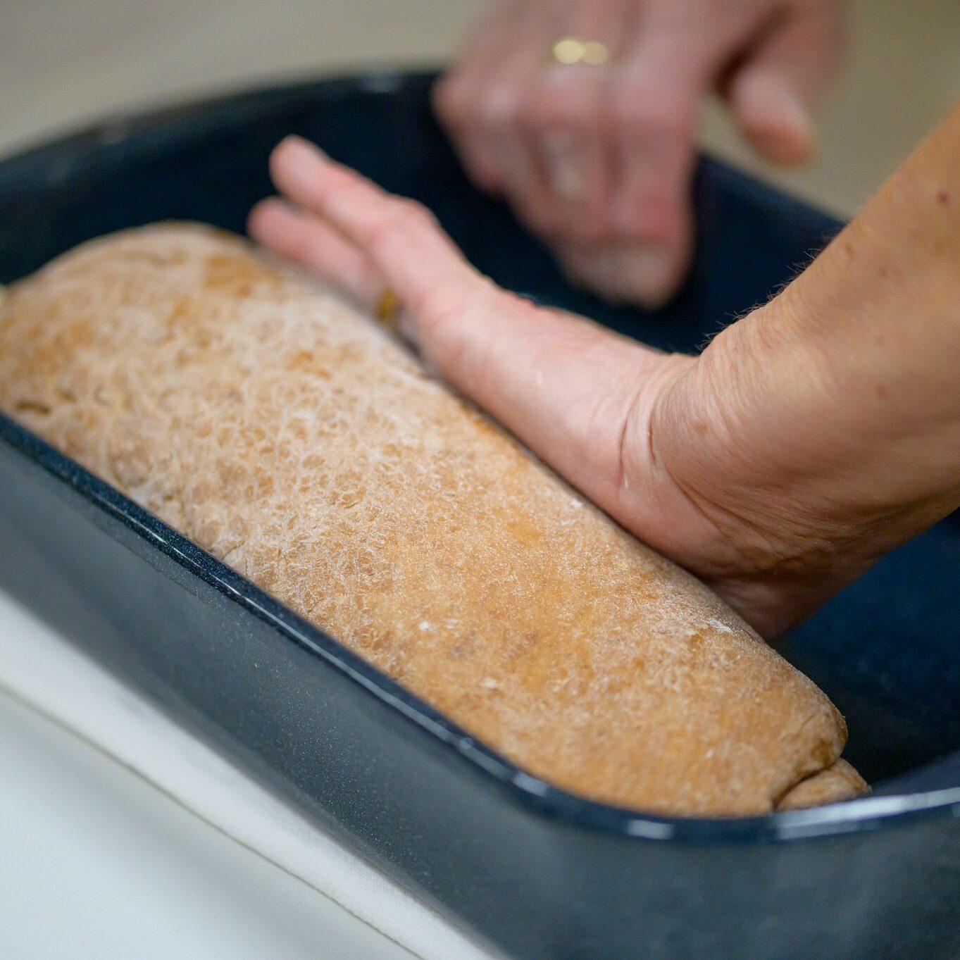 321326919 864459591418848 3505601752119771678 n