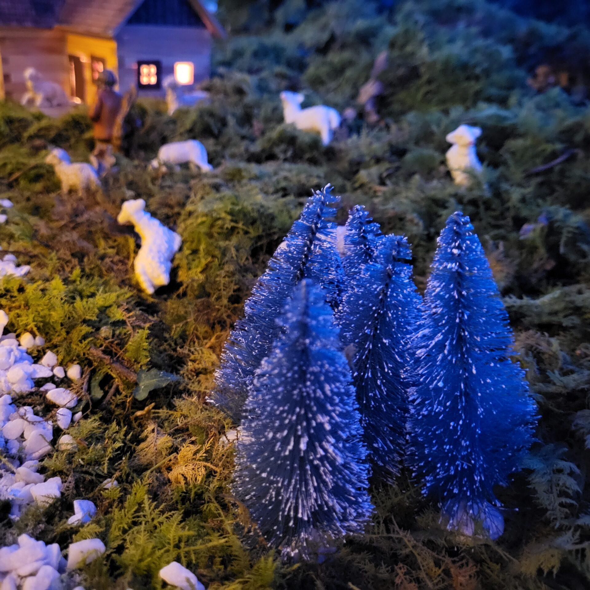 20221225 160002 scaled