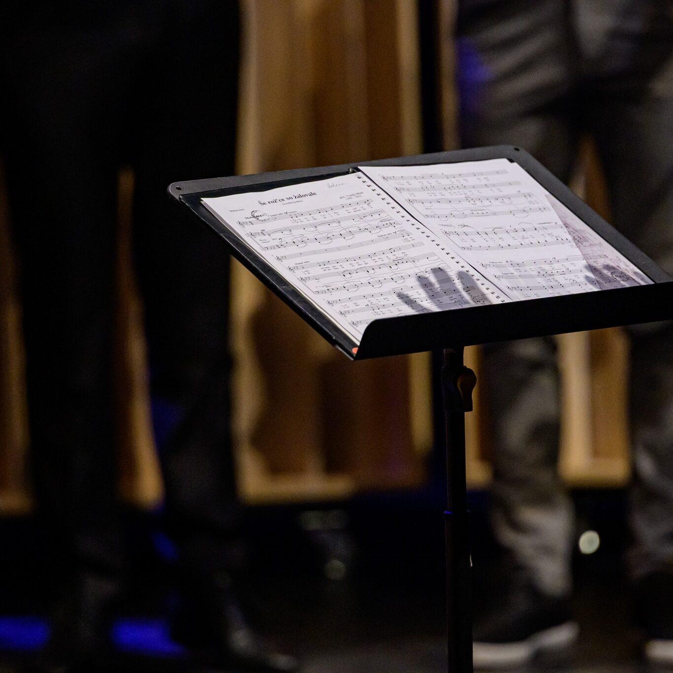 332078152 1318744785650646 6156913197420365724 n