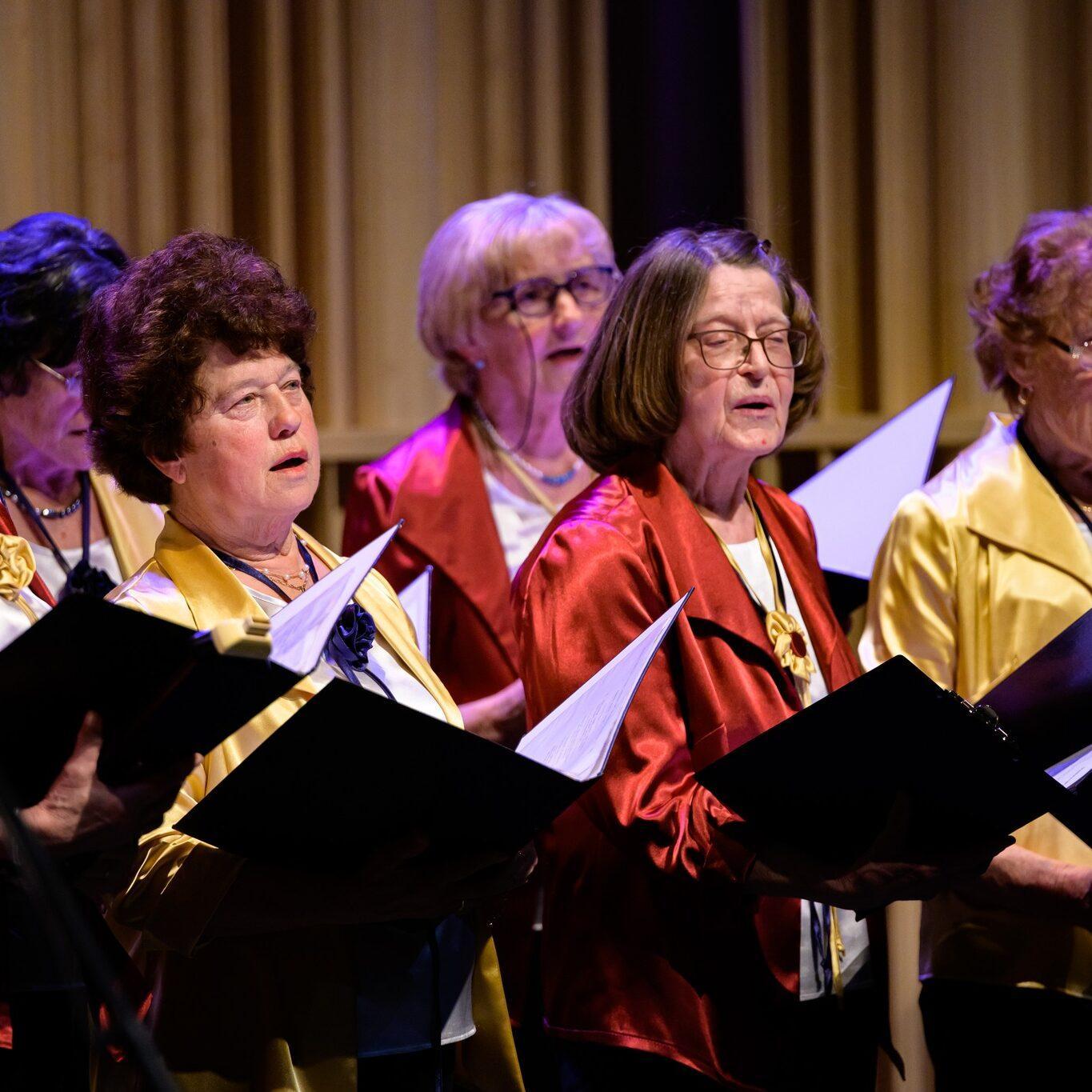 332106661 885112449234961 2328148847779016650 n