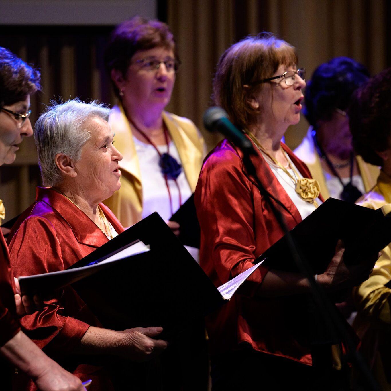 332111585 924543735250186 4986083332416344910 n