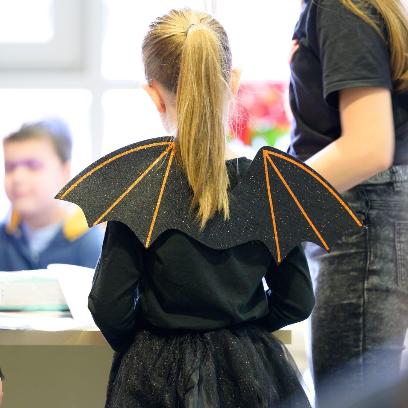 332167463 937651700922790 6329579890398845292 n