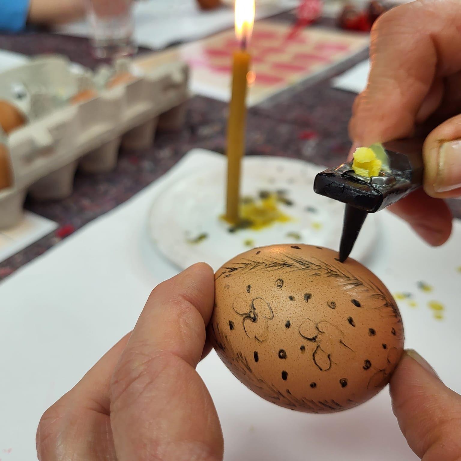 339129821 525698043045422 2278533138229012551 n