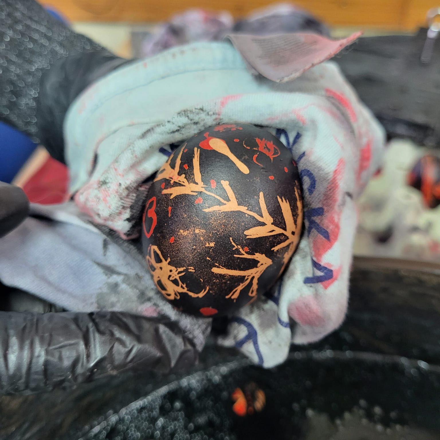 339153225 890714575547345 3500330588704136655 n