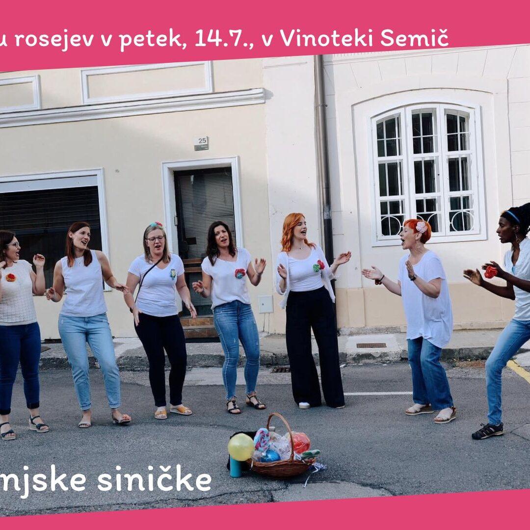 Belokranjske siničke