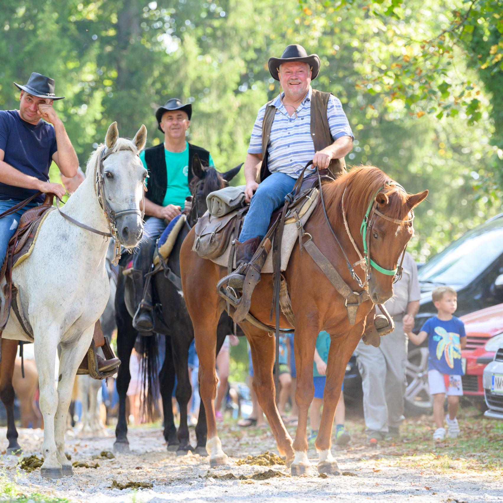 Zaključek poletja na sem'škem placu nedelja, . belokranjska razstava konj Foto Uroš Novina